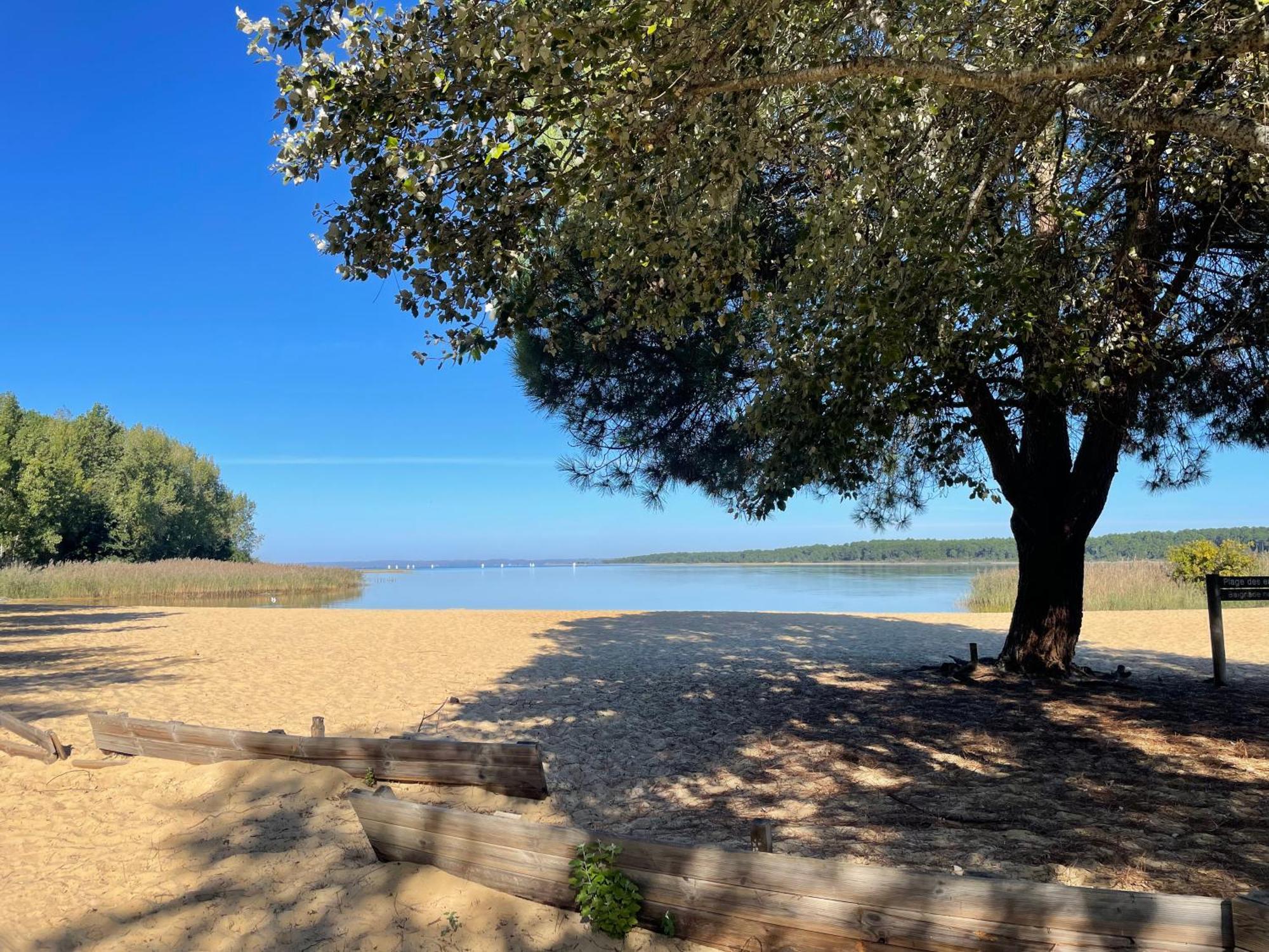 Appartement T2 Proche Lac Sanguinet Exterior foto